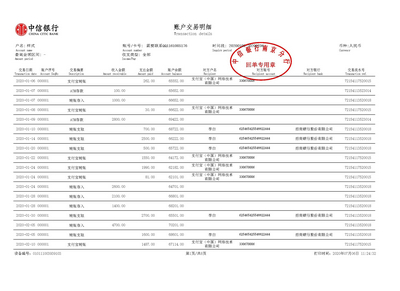 广西个人房贷流水制作